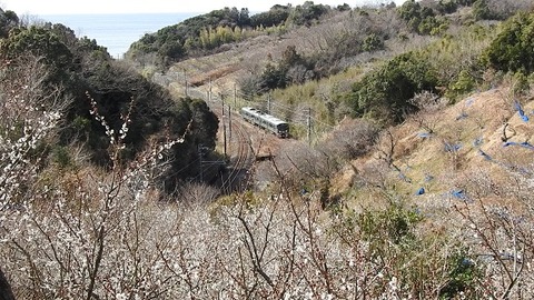 DSCN3393 20220218 岩代~南部 2353M