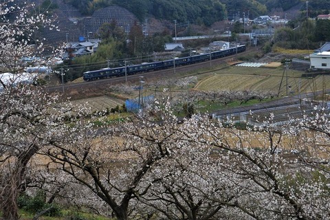 NDF_9739  20230219 稲原～和佐　8078M