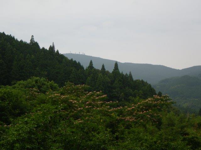 イメージ 2