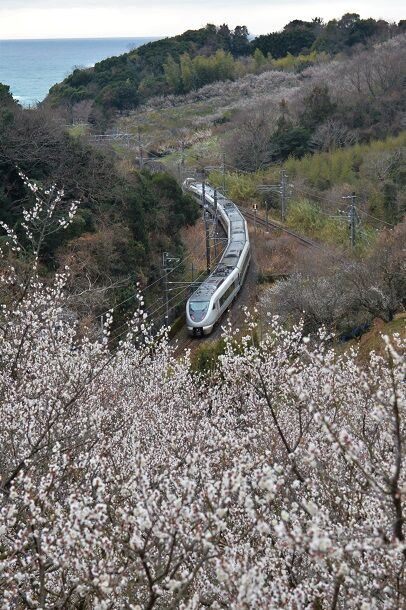 NDF_9684 20230219 南部～岩代 2074M