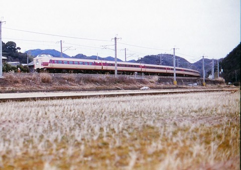 KT381150 　　和佐13M