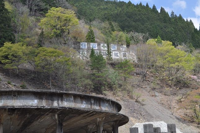 イメージ 7