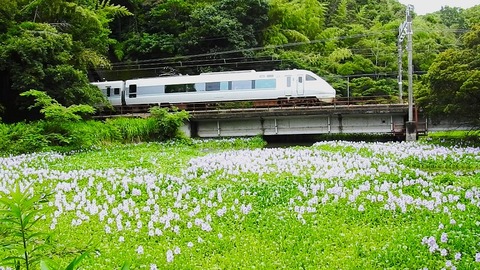 DSCN1160b -20240629 芳養~南部 6069M