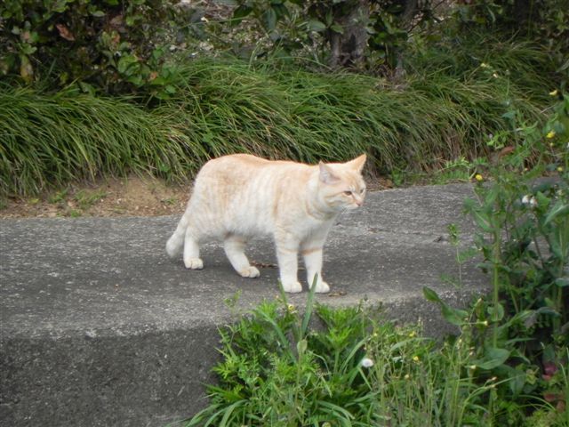 イメージ 3
