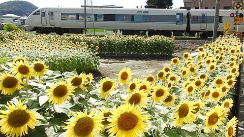 DSCN3878_20220722 広川B~湯浅 2074M