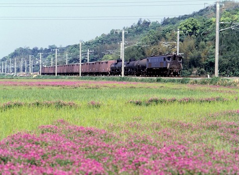 KT15131 紀三井寺~黒江 5362レ