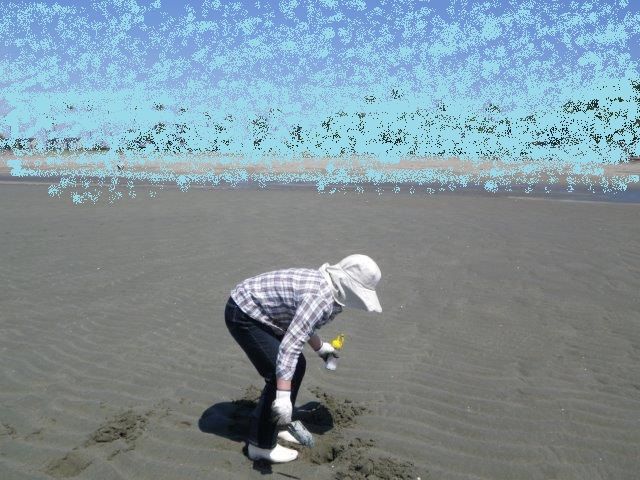 イメージ 1