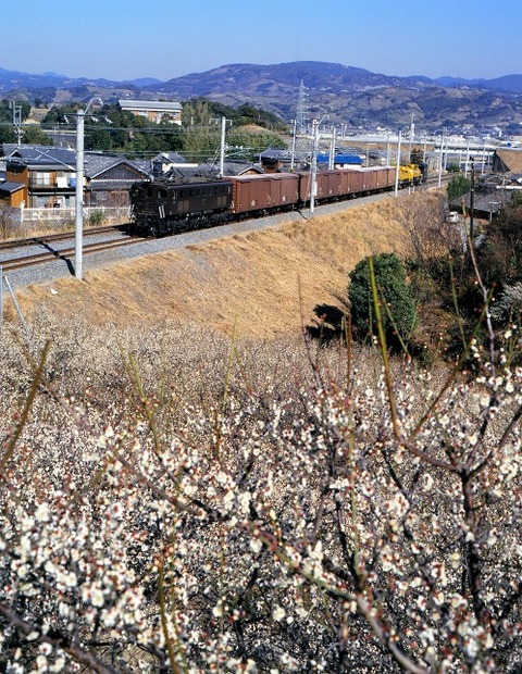 KT15295 800202南部~岩代 5362レ