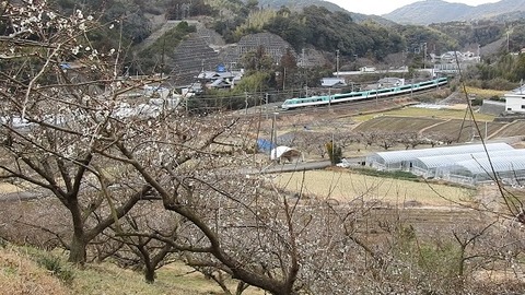DSCN3338a 20220215 稲原~和佐 66M