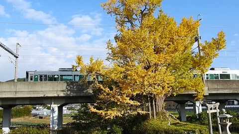 DSCN0506 - 20231128 和佐~道成寺 2357M