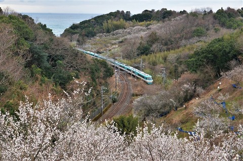 NDF_9701 20230219 南部～岩代 2063M