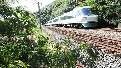 DSCN3852_20220630 稲原~和佐 2063M