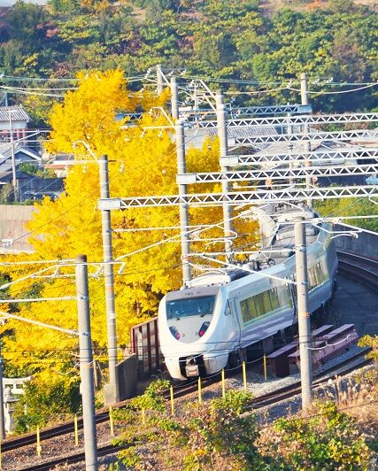 DFA_7770 20231128 和佐~道成寺 2074M