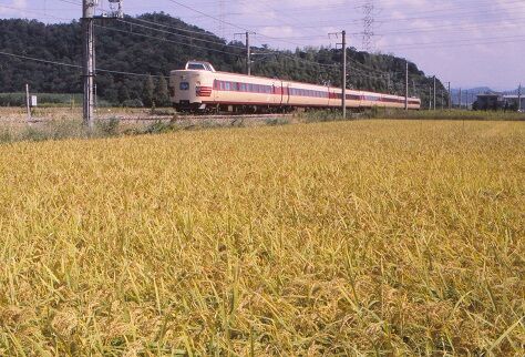 KT381029 891000 紀三井寺~黒江