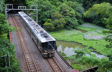 DFB_3970 20240629 芳養~南部 2352M