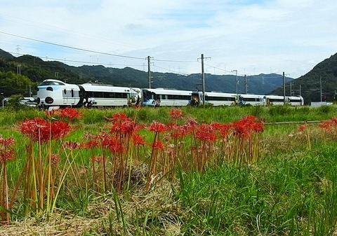 DSCN1570 - frame at 0m52s