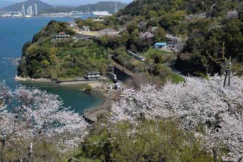 DFA_0761 20230328 加茂郷~冷水浦 2057M