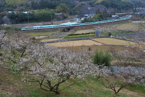 NDF_9571 20230219 稲原～和佐 66M