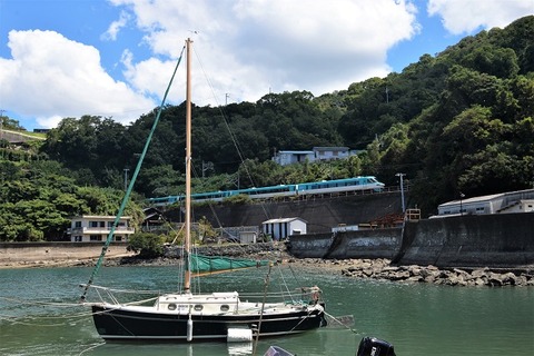 DFA_5386 20230829 加茂郷~冷水浦 66M