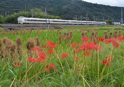DFA_6340　20230923  印南～稲原　76M