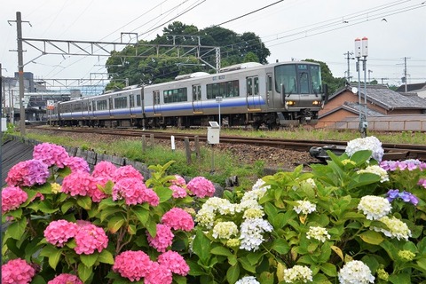 DFA_3157  20230618  湯浅　339M