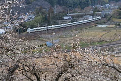 NDF_9761 20230219 稲原～和佐 2078M