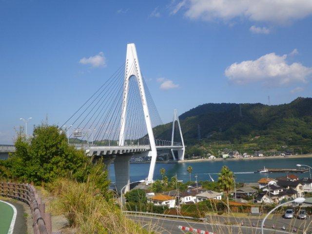 イメージ 8