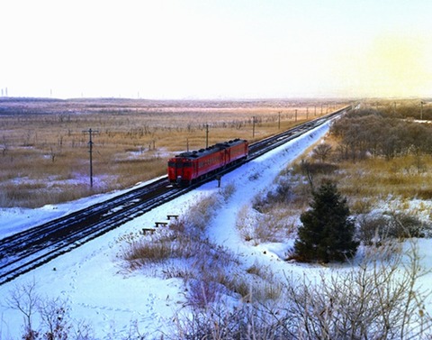 H502  870222　沼ノ端~植苗