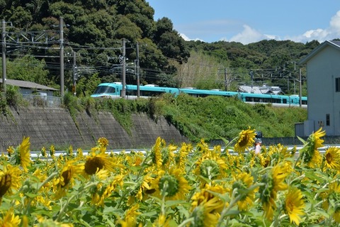 NDF_3019