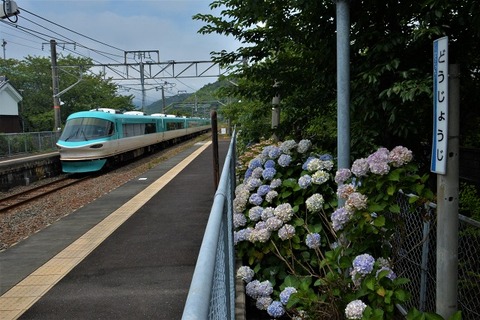 DFA_3341  20230628 道成寺 66M