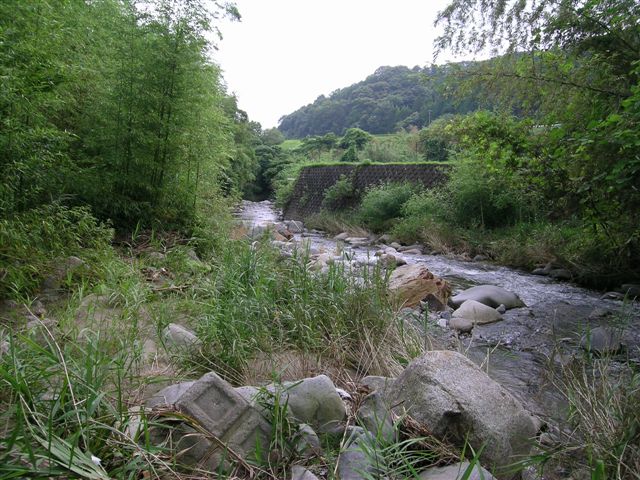 イメージ 1