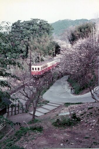 NT0273　龍光寺前　クハ104＋