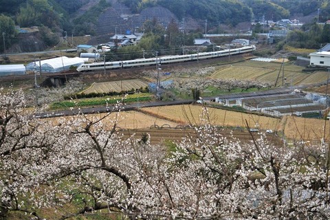 NDF_9728 20230219 稲原～和佐　6065M