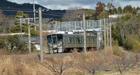 NDF_8218