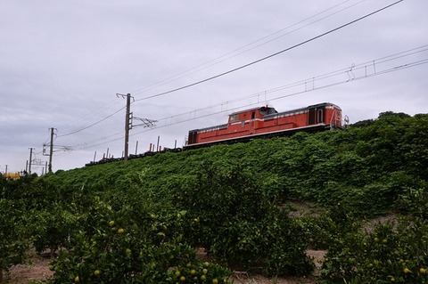 DFD_2030 20250925 加茂郷~冷水浦 工9392