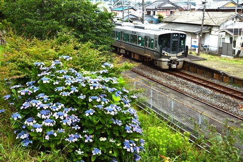 NDF_2443 20220616 芳養 2350M