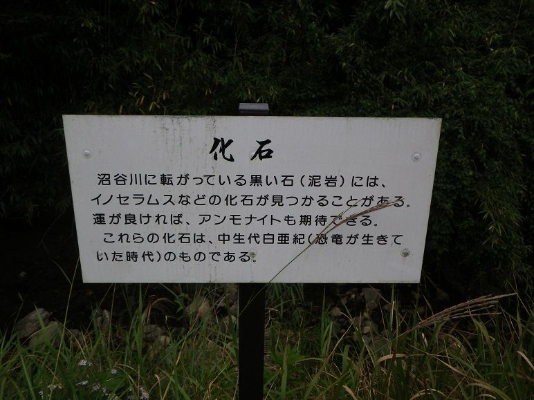 イメージ 4