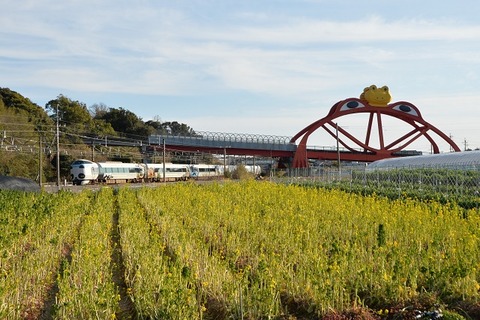 NDF_9208 20220218 印南 76M