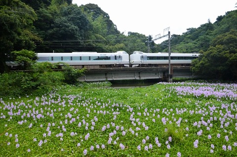 DFB_3995 20240629 芳養~南部 2053M