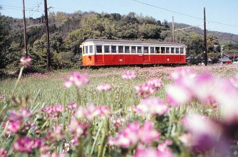 NT0252 北山 モハ24