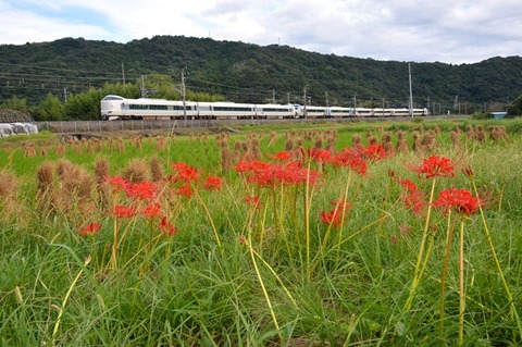 DFA_6335　20230923  印南～稲原　76M