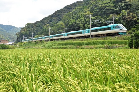 DFA_4925 20230816 66M