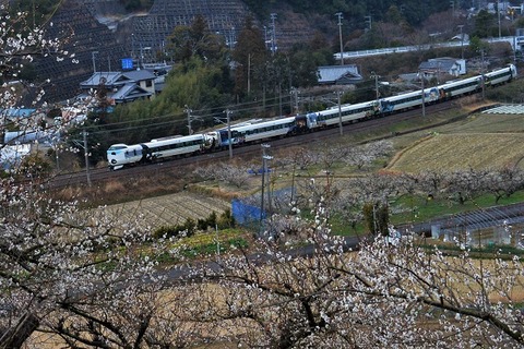 NDF_9609 20230219 稲原～和佐 6055M