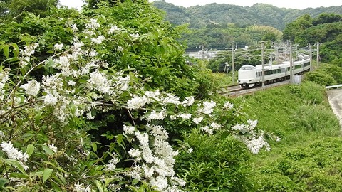 DSCN1092 -20240523  広川B～紀伊由良　2059M