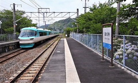 DSCN4860_20230628 道成寺 66M