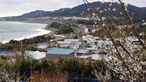 DSCN4462_20230219 岩代 2059M