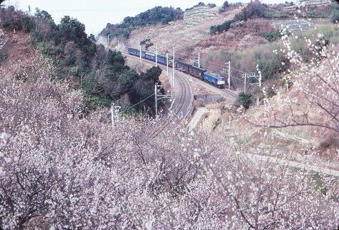 KT58273 820200岩代~南部 124レ
