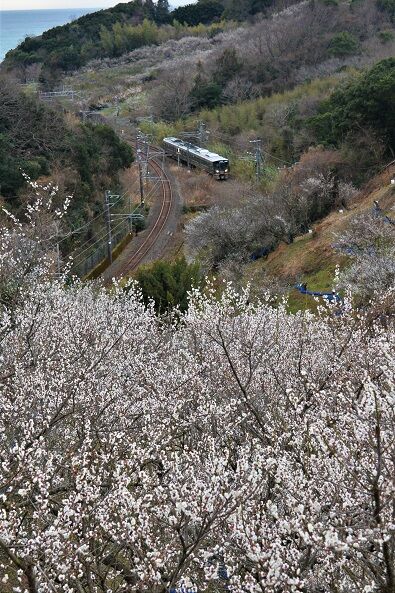 NDF_9695 20230219 南部～岩代 2359M