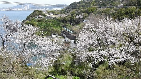 DSCN4579_20230325 加茂郷~冷水浦 66M