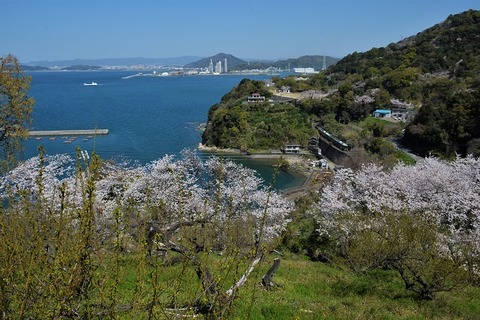 DFA_0777 20230328 加茂郷~冷水浦 345M